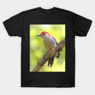 Red bellied woodpecker T-Shirt